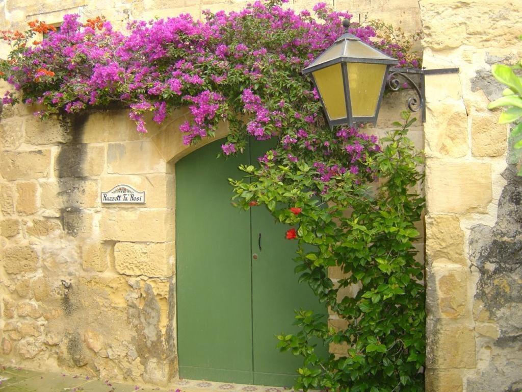 Steves Villas Villa ta Rosi Xagħra Camera foto
